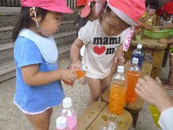 8��23���@����ۂہ@�F���V��_5