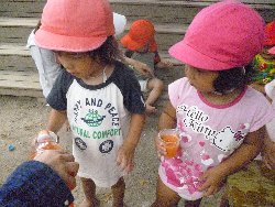 8��23���@����ۂہ@�F���V��_8