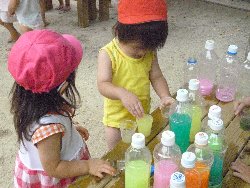 8��23���@����ۂہ@�F���V��_9