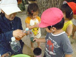 8��23���@����ۂہ@�F���V��_10