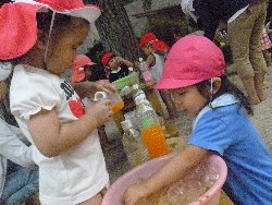 8��23���@����ۂہ@�F���V��_12