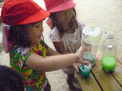 8��23���@����ۂہ@�F���V��_14