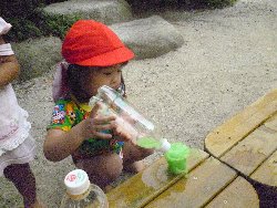 8��23���@����ۂہ@�F���V��_15