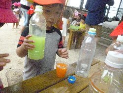 8��23���@����ۂہ@�F���V��_16