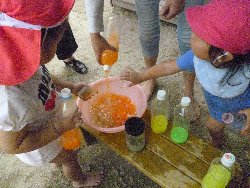 8��23���@����ۂہ@�F���V��_17