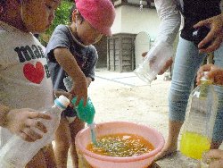 8��23���@����ۂہ@�F���V��_18