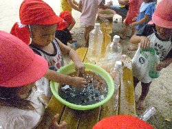 8��23���@����ۂہ@�F���V��_19