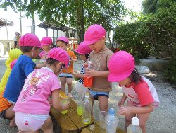 8��27���@��񂰁@�F���E���V��_2