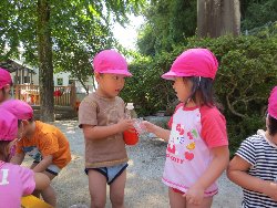 8��27���@��񂰁@�F���E���V��_3