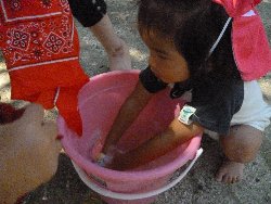 8��27���@����ۂہ@����V��_2