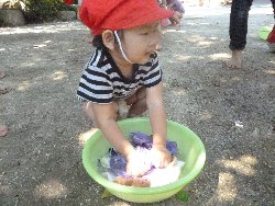 8��27���@����ۂہ@����V��_4