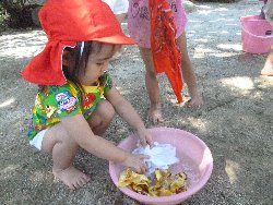 8��27���@����ۂہ@����V��_5