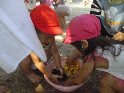 8��27���@����ۂہ@����V��_6