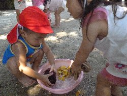 8��27���@����ۂہ@����V��_7