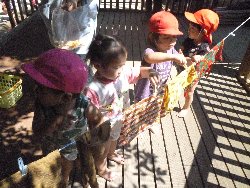 8��27���@����ۂہ@����V��_11