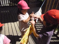 8��27���@����ۂہ@����V��_14