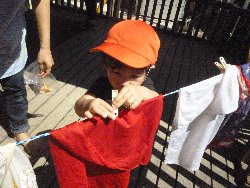 8��27���@����ۂہ@����V��_17