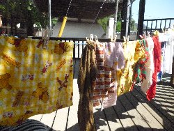 8��27���@����ۂہ@����V��_20