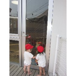 8��28���@�����E������@�ˊO�V��_10