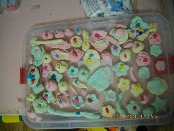 8��30���@��񂰁@���S�y�V��_28