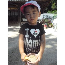 9��5���@����ۂہ@���{���̓�_1