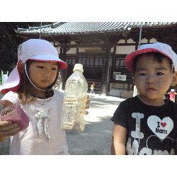 9��5���@����ۂہ@���{���̓�_2