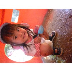 9��5���@����ۂہ@���{���̓�_6