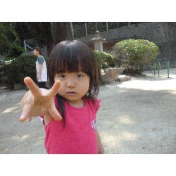 9��10���@����ۂہ@���{���̓�_11