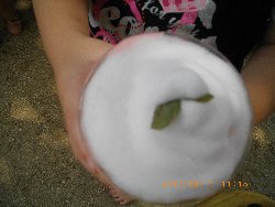 9��11���@��񂰁@���킠��V�с@_29