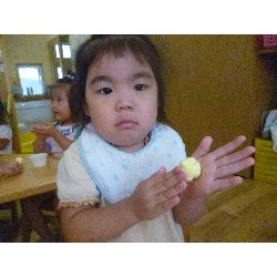 9��17���@����ۂہ@�������c�q���_1