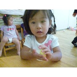 9��17���@����ۂہ@�������c�q���_2