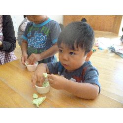 9��17���@����ۂہ@�������c�q���_9