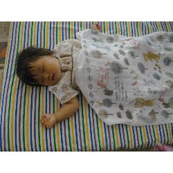 9��26���@�����@�H�����ߐ��̗l�q_33