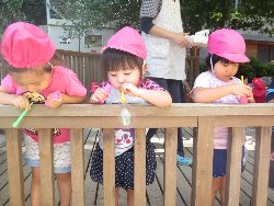 9��27���@��񂰁@���{���̓�_16