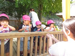 9��27���@��񂰁@���{���̓�_17