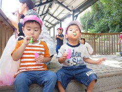 9��27���@��񂰁@���{���̓�_19