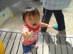 10��1���@�����@����̗l�q_6