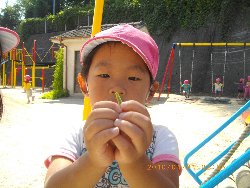 10��4���@��񂰁@����̗l�q_27