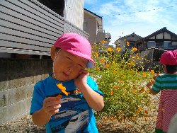 10��4���@��񂰁@����̗l�q_29