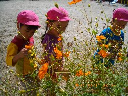 10��4���@��񂰁@����̗l�q_30