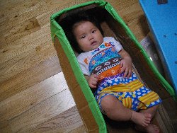 10��8���@�����@�g�̑���_6