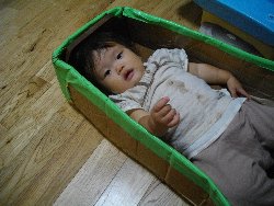 10��8���@�����@�g�̑���_10