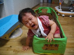 10��8���@�����@�g�̑���_16