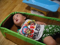 10��8���@�����@�g�̑���_25