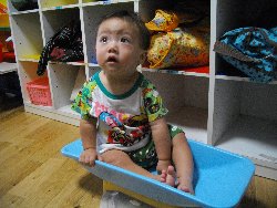 10��8���@�����@�g�̑���_29