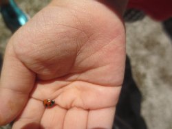 10��9���@��񂰁@���{���̓�_10