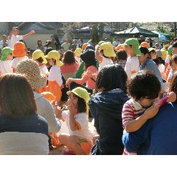 10��13���@�^����@1�C���g�~�b�N�E�J�_60