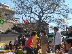 10��13���@�^����@11�C�N���X�΍R�����[_140