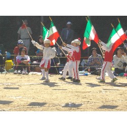 10��13���@�^����@12�C�Ђ܂��ۓJ��s�i_14