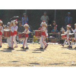 10��13���@�^����@12�C�Ђ܂��ۓJ��s�i_18